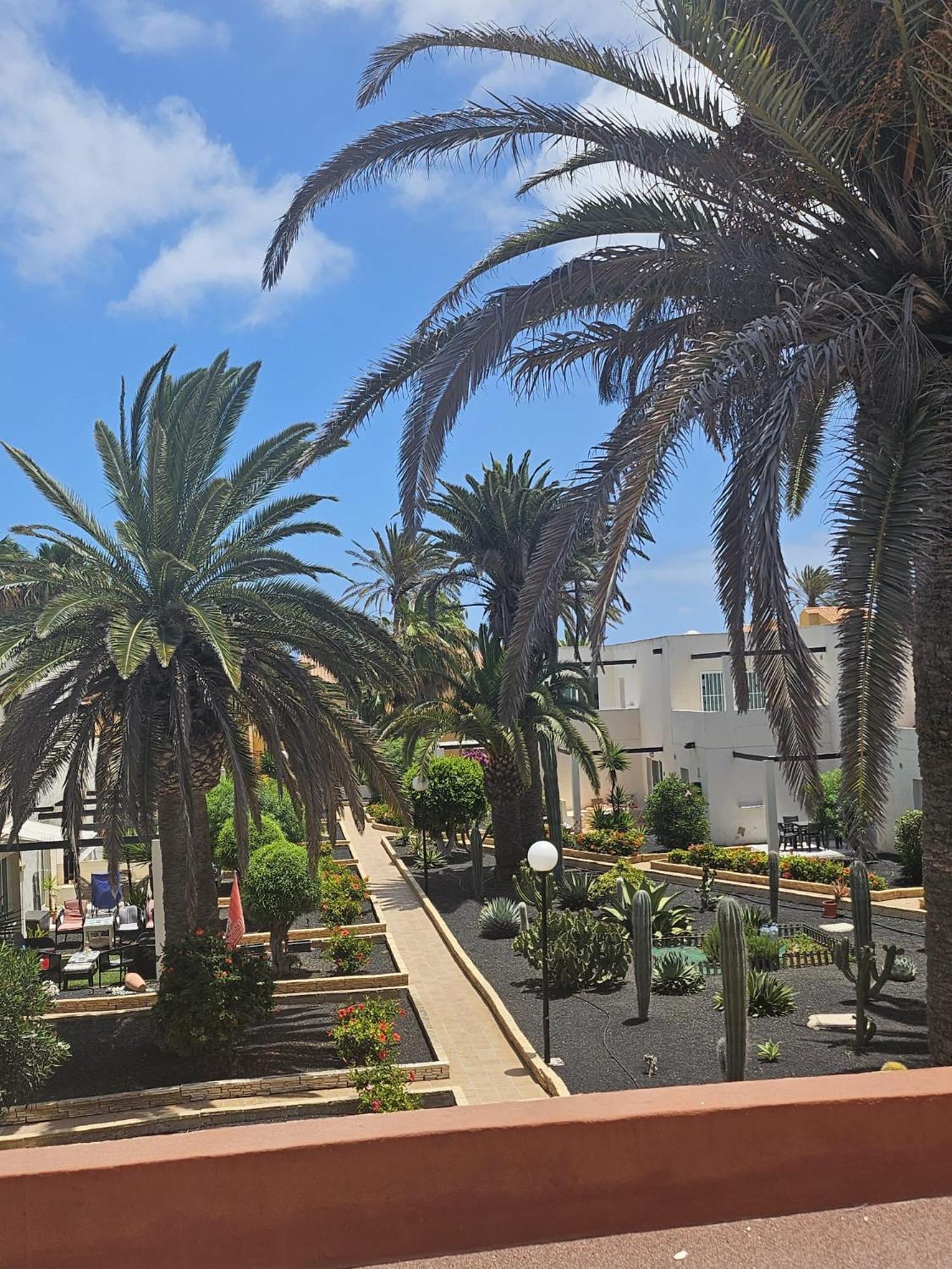 Appartamento New Alisios Playa Corralejo Esterno foto