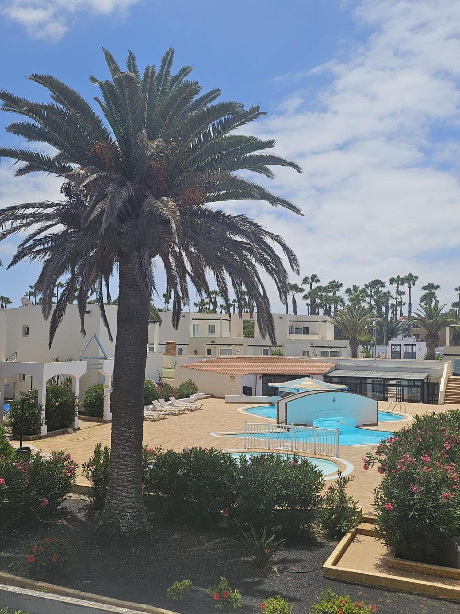 Appartamento New Alisios Playa Corralejo Esterno foto